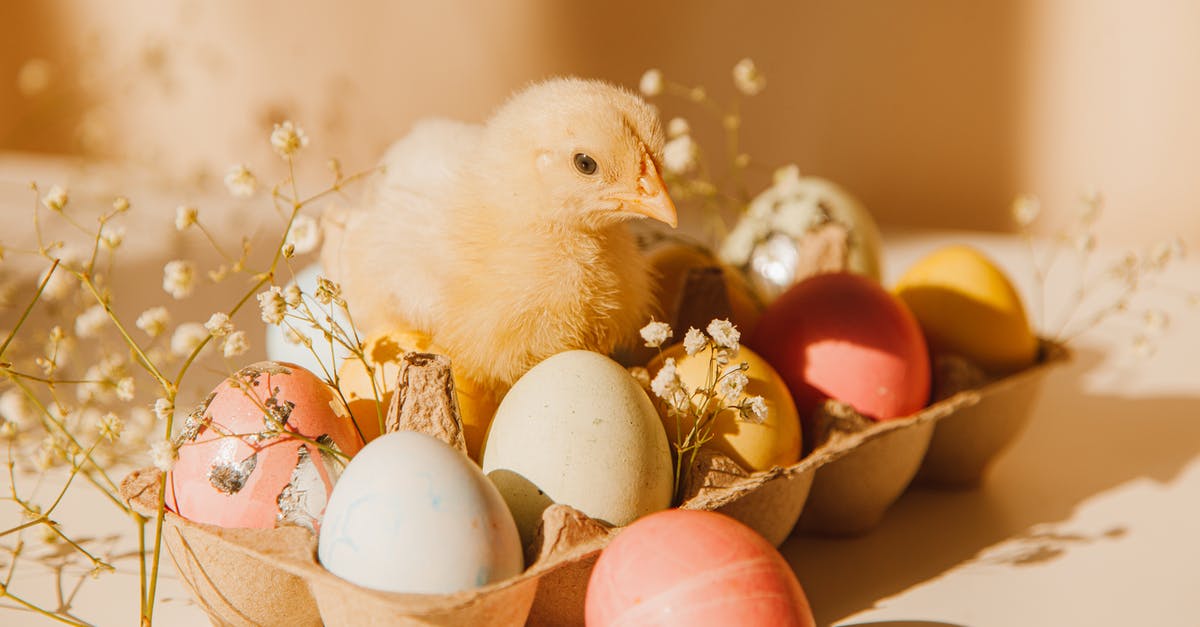Will store eggs turn into a chick if i leave it out in the warmth? [duplicate] - Chick Beside A Carton Of Colored Eggs