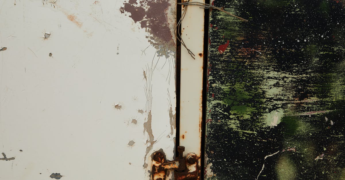 Will washing a certain part of my blender in the dishwasher ruin it? - Old shabby metal door with rusty hinge near green wall Will washing a certain part of my blender in the dishwasher ruin it? - Old shabby metal door with rusty hinge near green wall