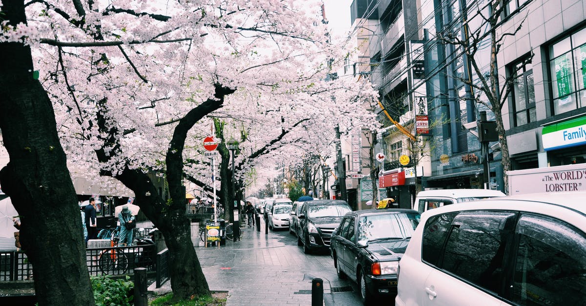 With stovetop cooking, is there a way to retain heat but let moisture escape? - Sakura trees and modern buildings with cars parked on city street under gray sky With stovetop cooking, is there a way to retain heat but let moisture escape? - Sakura trees and modern buildings with cars parked on city street under gray sky
