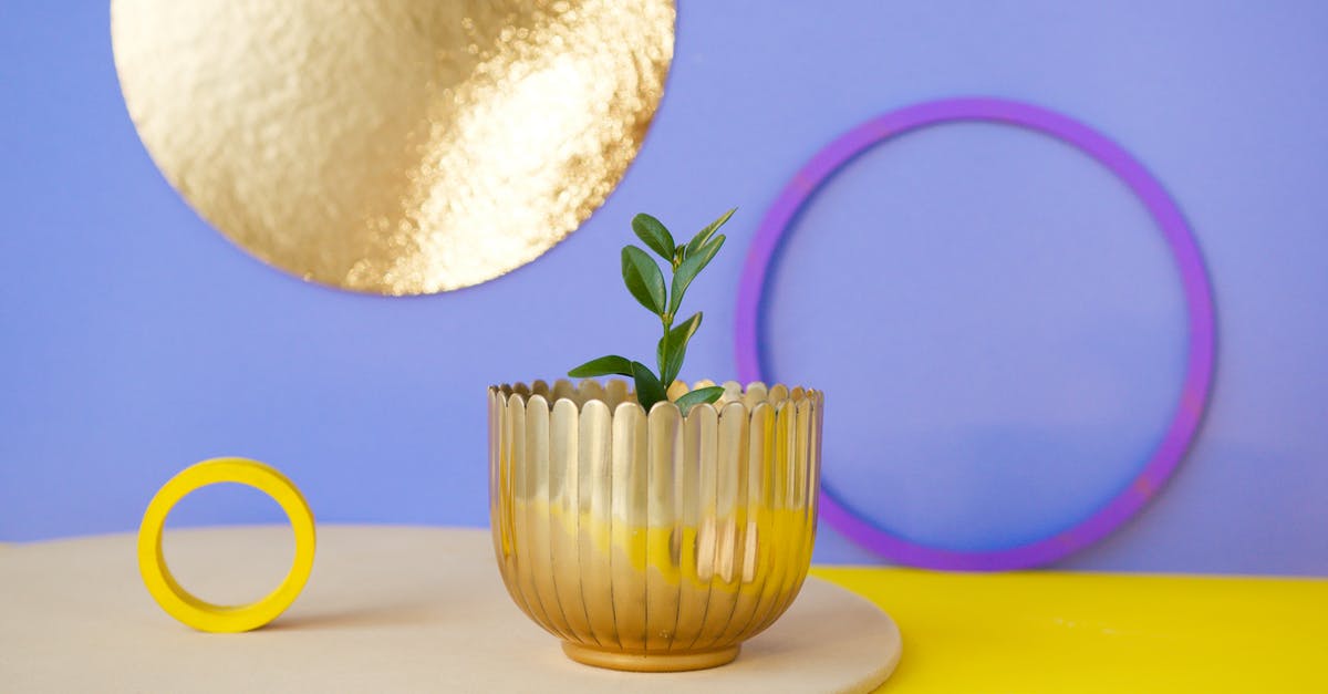 Wrap food in cylinder shape and put in the fridge - Purple and Yellow Flower in Clear Glass Vase Wrap food in cylinder shape and put in the fridge - Purple and Yellow Flower in Clear Glass Vase