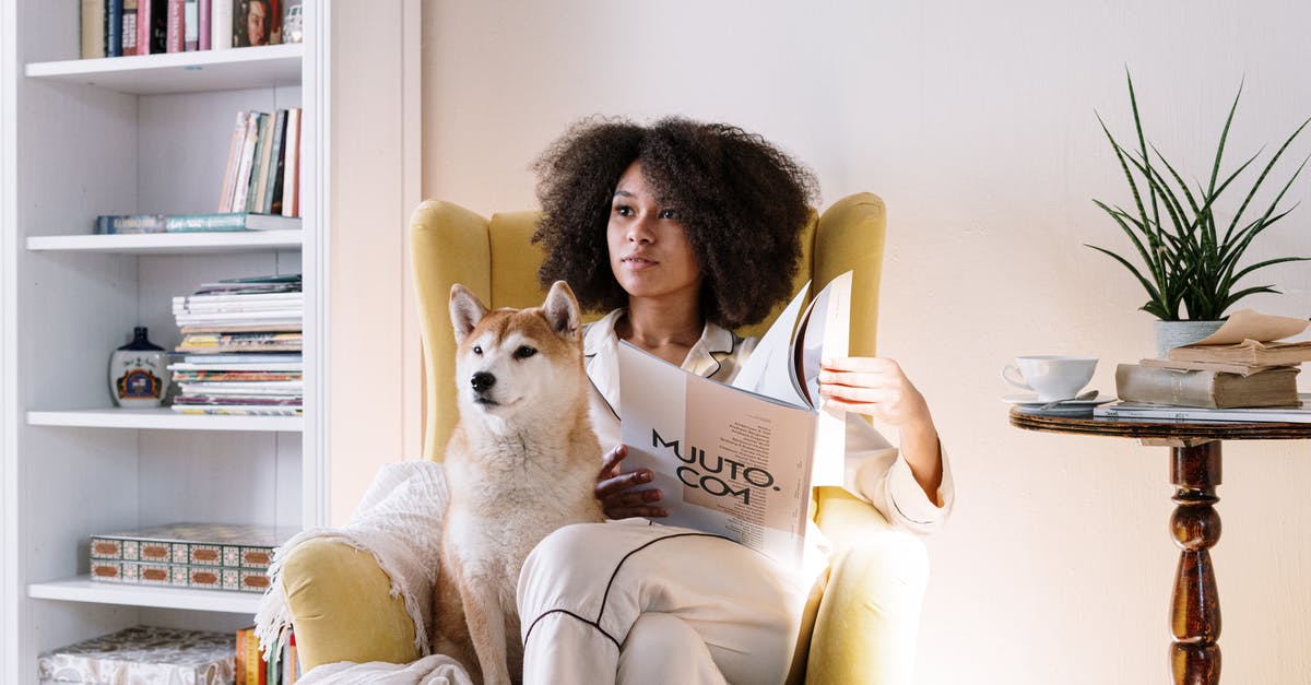 Yellow Hot Dog Relish - Free stock photo of afro, afro hair, animal Yellow Hot Dog Relish - Free stock photo of afro, afro hair, animal
