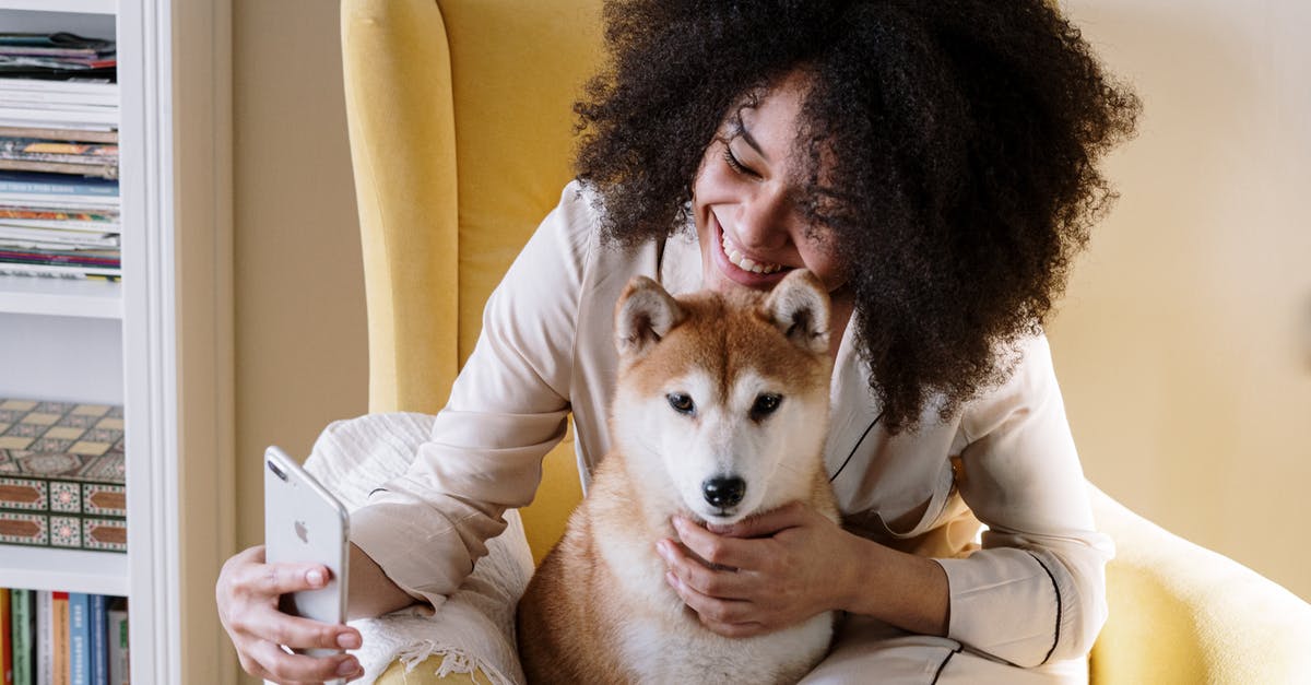Yellow Hot Dog Relish - Free stock photo of afro, afro hair, animal Yellow Hot Dog Relish - Free stock photo of afro, afro hair, animal