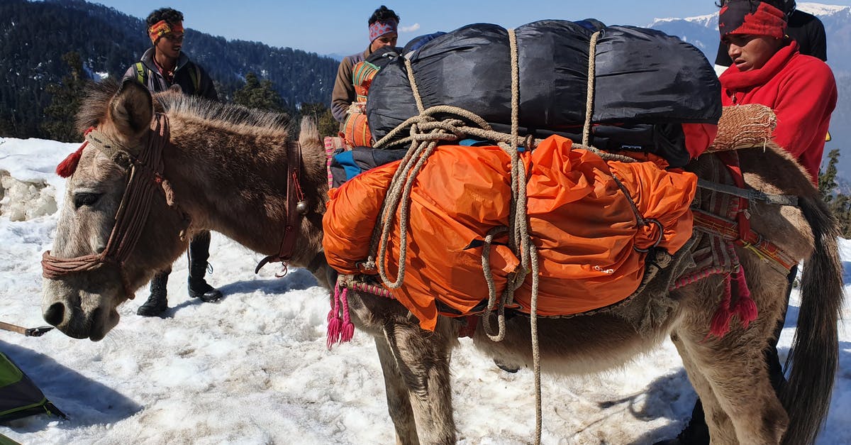Ziploc vacuumed bags expand in sous vide - Horse Carrying Bags in Mountains Ziploc vacuumed bags expand in sous vide - Horse Carrying Bags in Mountains